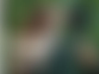 Porte 17 Human Design : Le Don des Opinions