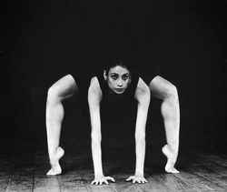 araigne danse