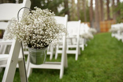 1263085_10151952274379739_1556814713_o