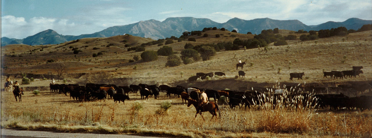 Shipping_MoonRanch_Scan.jpg