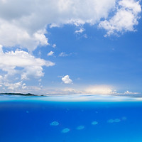 Coral Reef Island