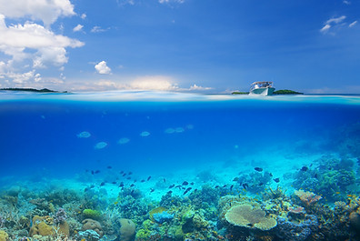 Coral Reef Island