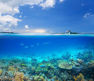 Ocean Floor