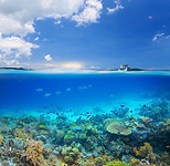 Isla Coral Reef
