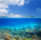 サンゴ礁島