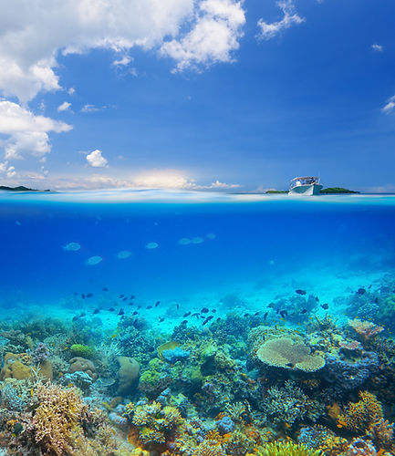 Oceano Isla Coral Reef