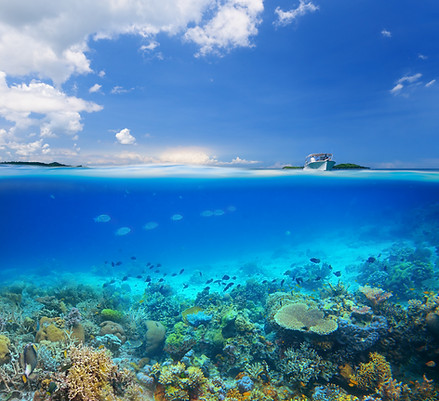 Coral Reef Island