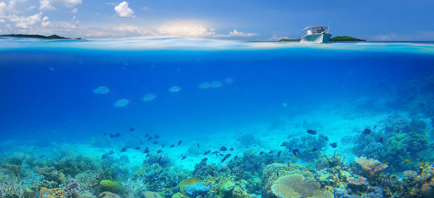 Coral Reef Island