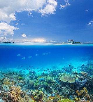 Coral Reef Island