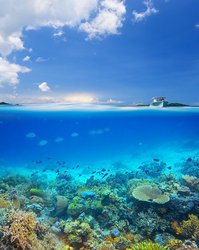 Coral Reef Island