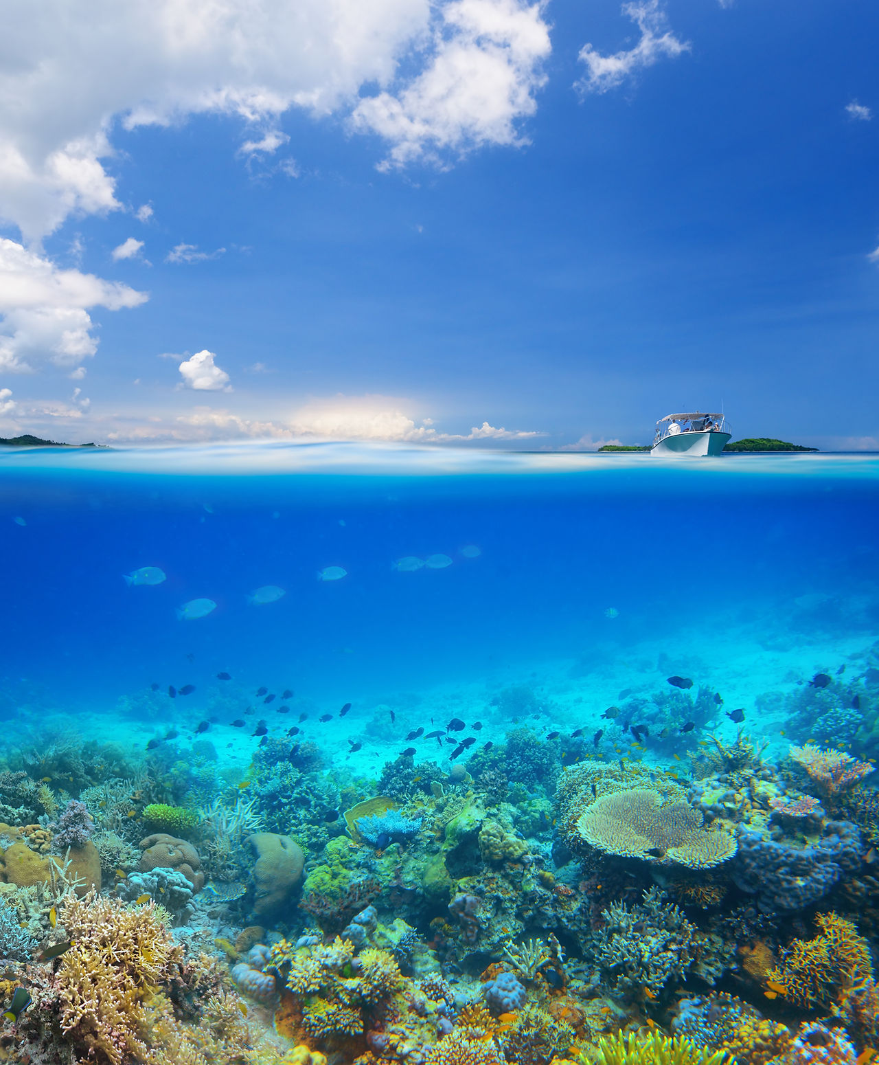 Coral Reef Island
