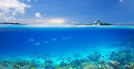 オヤジ人魚と白保の海