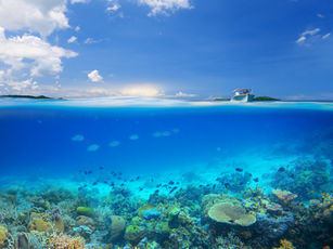 Vibrant coral reef under clear blue water, fish swimming. Above, a white boat on the ocean surface under a partly cloudy sky. Tranquil scene.