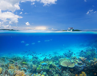 Coral Reef Island
