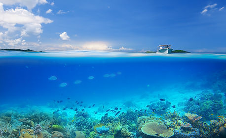 Island Life