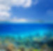 Coral Reef Island picture taken partially submerged underwater