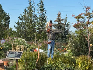 Scarecrow in the Food Forest