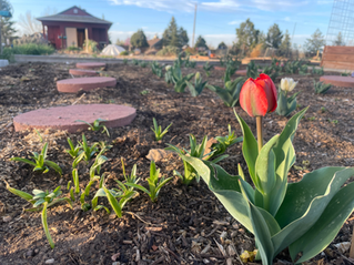 2025 Season in Photos