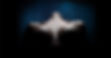 Procedure_BreastThorax_header-01.jpg