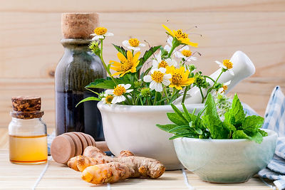 Phytotherapie