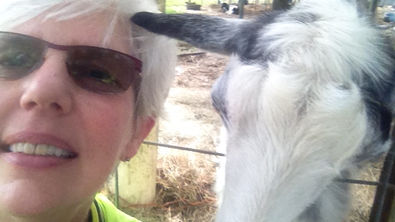 What should I buy? How do I take it? How do I make it?