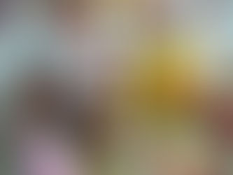 Christmas Decorations....