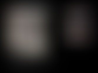 lafine cosmetics - Catalina Geo: Eyes and Brow - Natural Trio Eye Shadow Collection