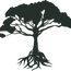 Arbol Essence, accueil