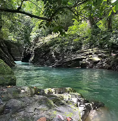 Cascade et rivière d'Arbol Essence dans la jungle de la péninsule d'Osa, Costa Rica