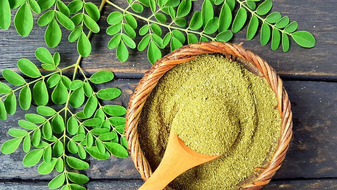moringa.jpg