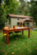 Outdoor dining table set in a grassy backyard