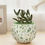 Thumbnail: Puzzle Planter Pot