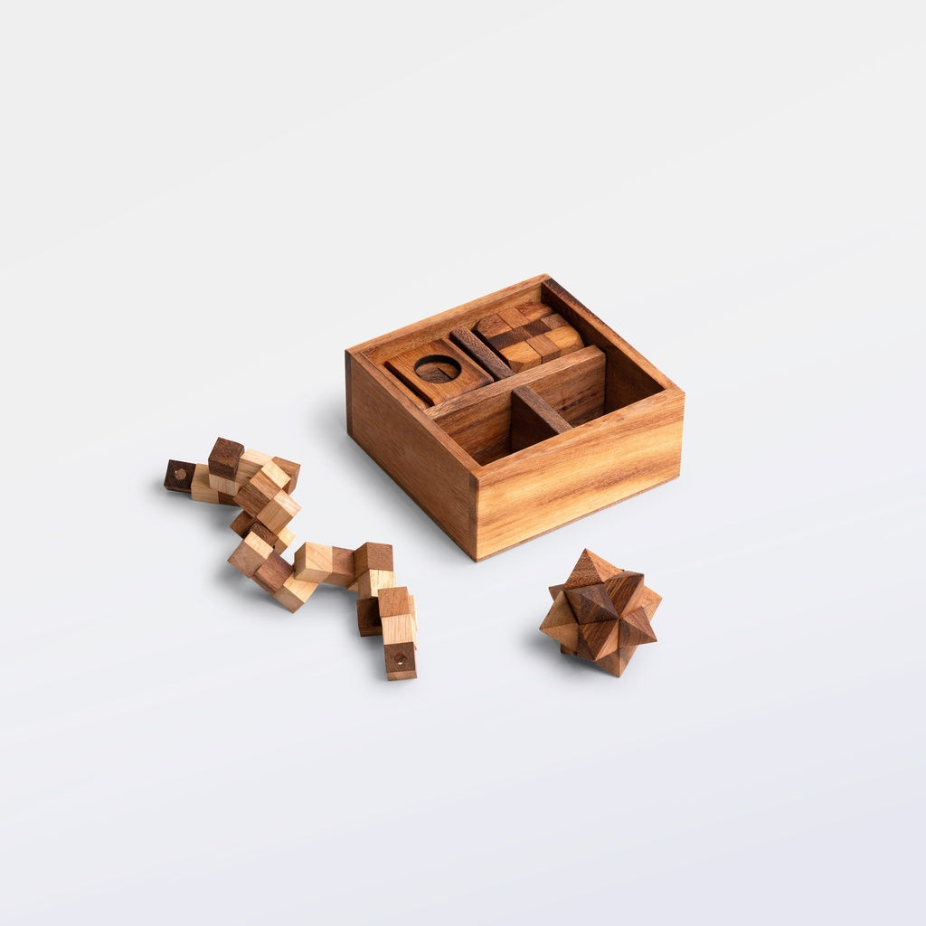 5 Puzzles in One Tricky Box