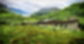 Potter Viaduct.jpg