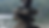 ImageWithFallback (1).png