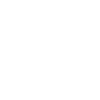 Icon of a rising bar graph with a dollar coin and flag.