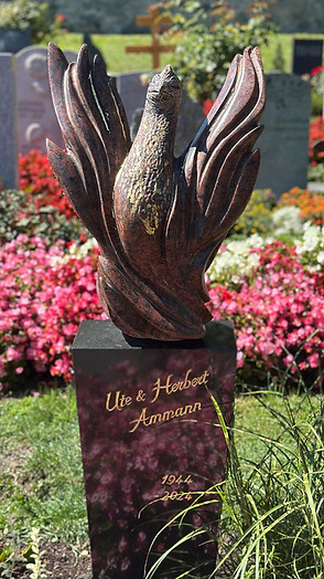 WhatsApp Bild 2025-11-18 um 22.20_edited