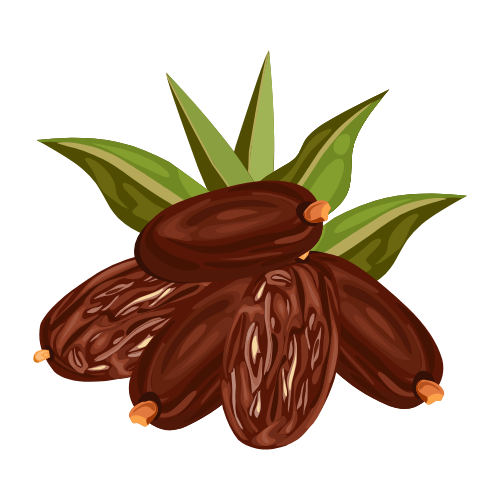 Natural dates for seed cycling energy bites and women’s wellness