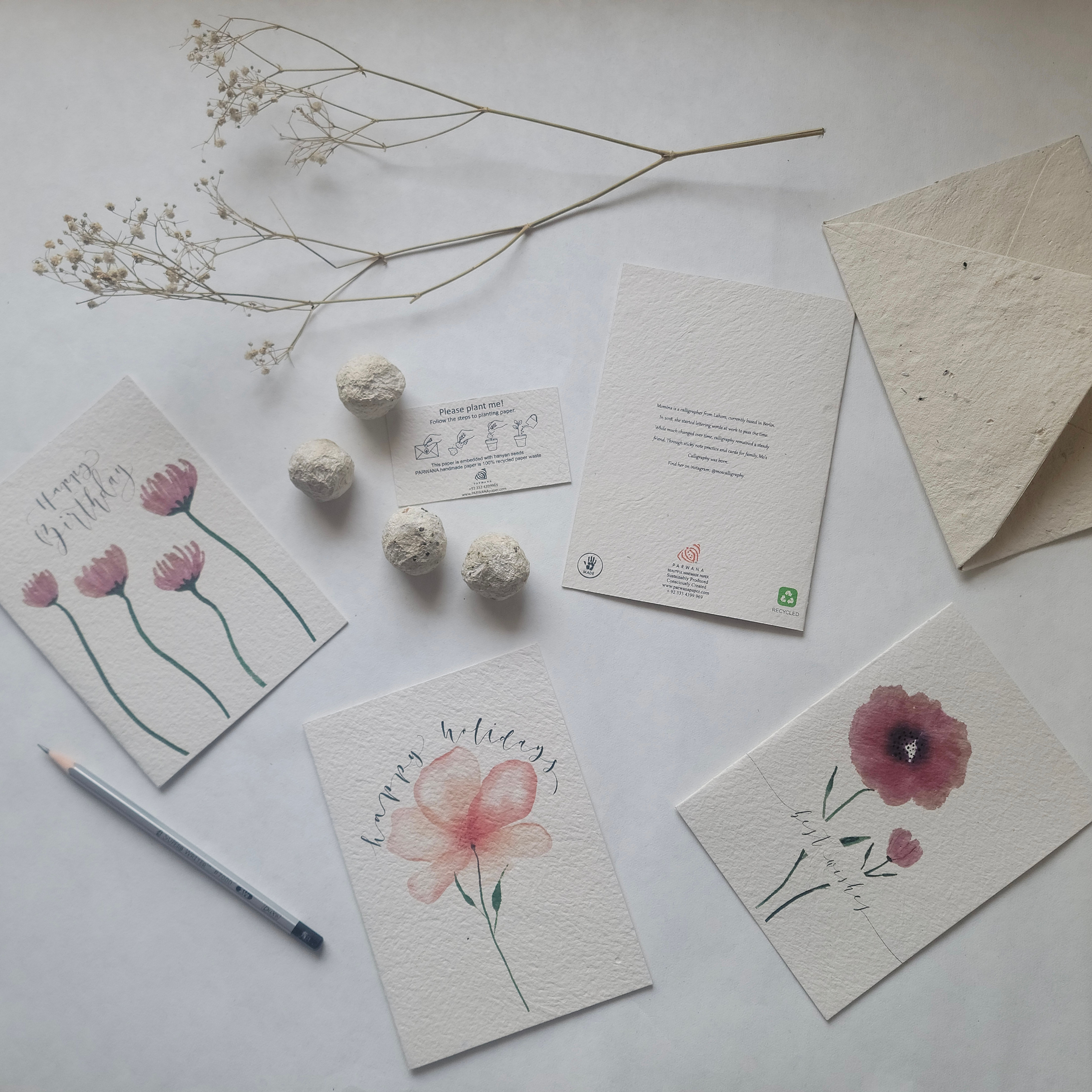 3 Greeting Cards & Plantable Seed Envelopes - Mo's Calligraphy Collection