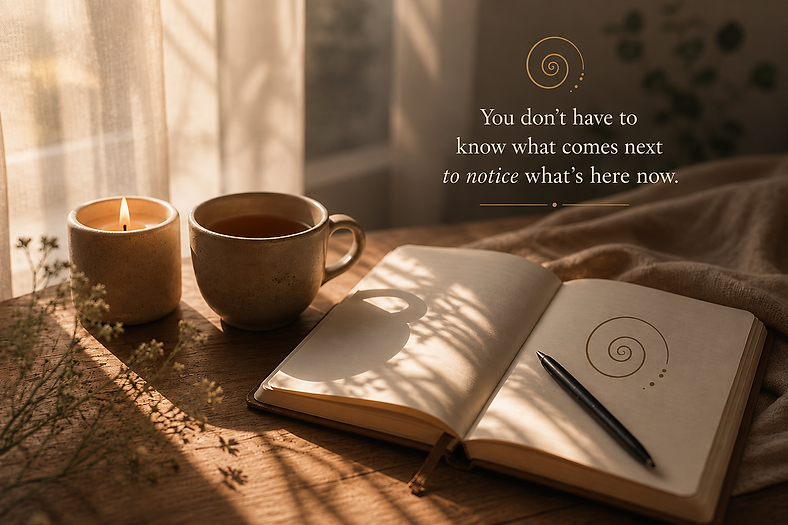 new spiral current notebnook graphic.png