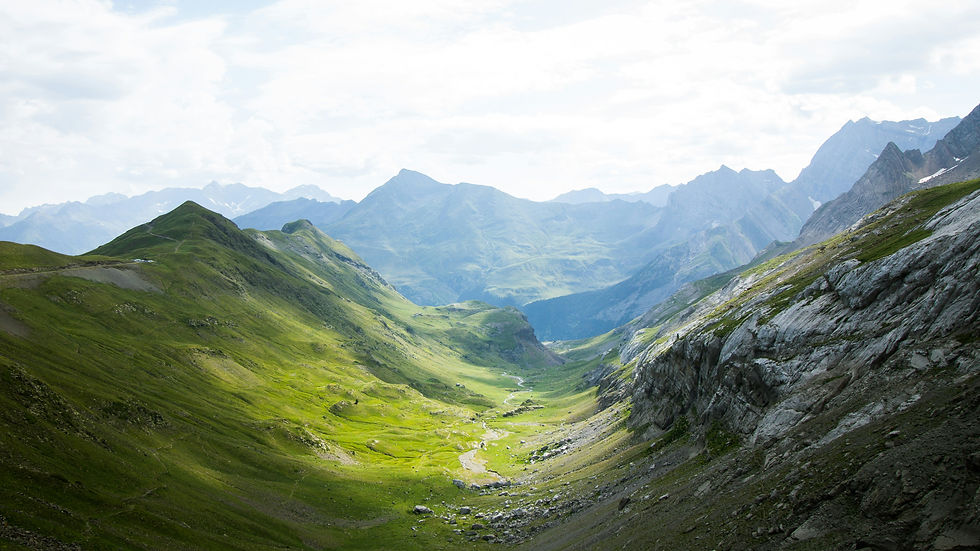 Paysage estival des Pyrénées-Orientales en Occitanie