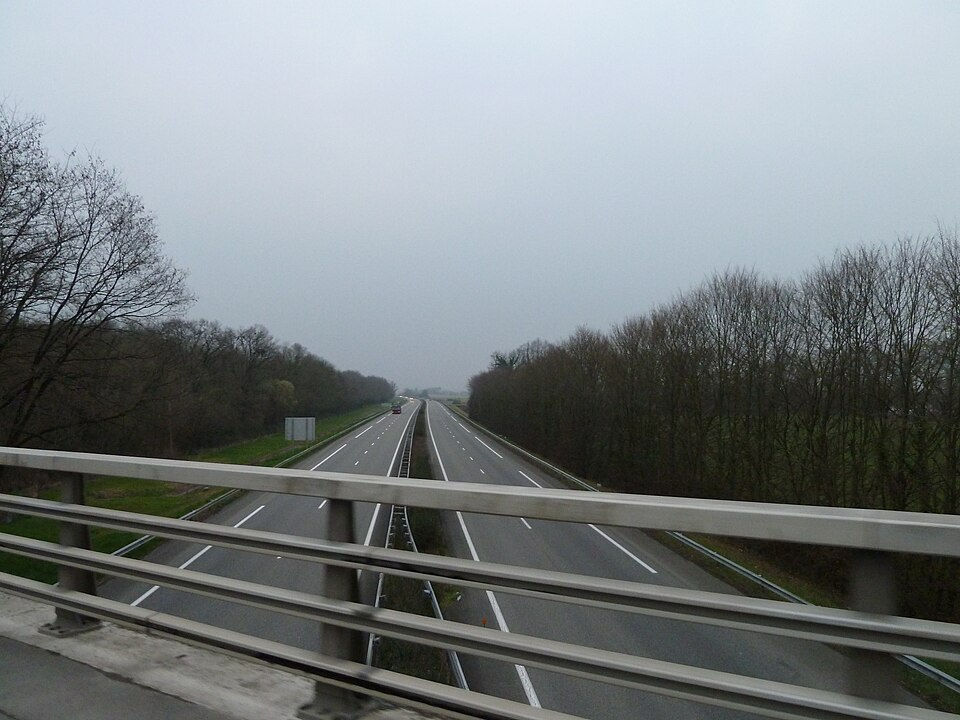 Autoroute A64, illustration après une série d’accidents provoqués par un sanglier dans le Comminges