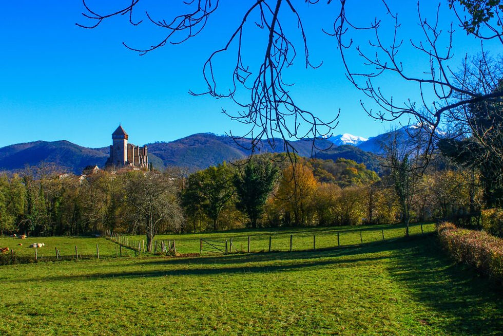 La météo devrait s'améliorer progressivement en Haute-Garonne et dans le Comminges avec le retour du soleil et des températures plus agréables.