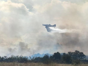 Un avion bombardier d'eau intervient au-dessus d'un incendie de végétation en Haute-Garonne.