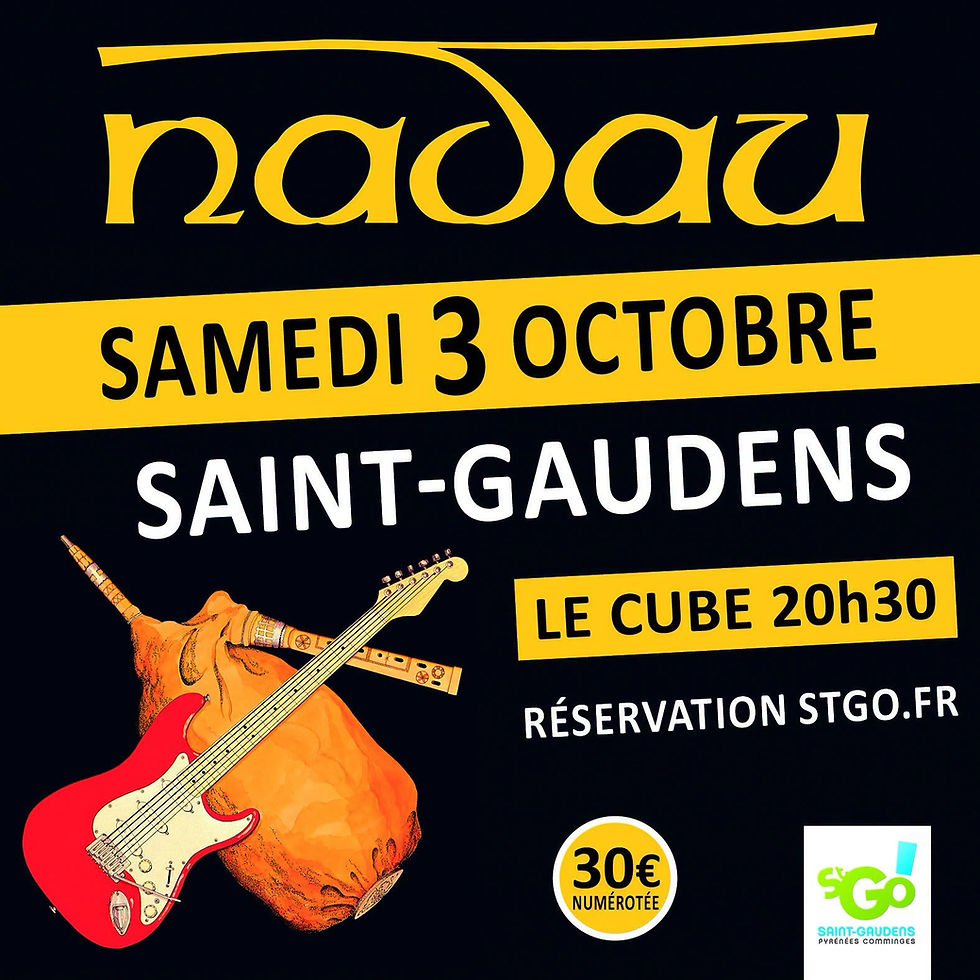 Le groupe Nadau sur scène lors d'un concert de musique occitane.