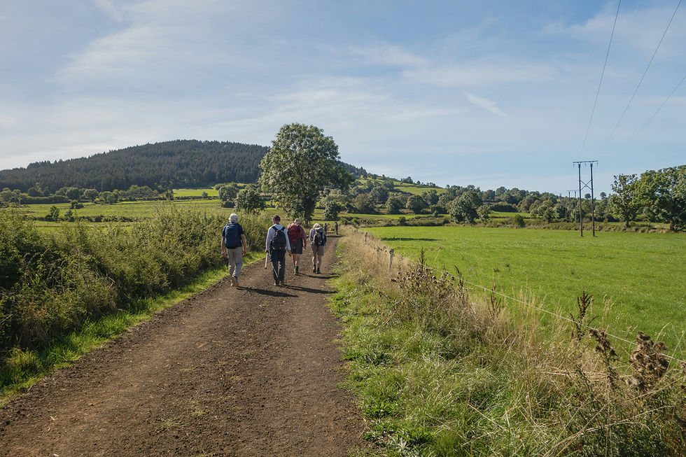 Groupe de marcheurs lors d’une balade solidaire sur un chemin en pleine nature
