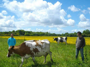Visiteurs dans une ferme participant à l’opération Fermes en Fête en Occitanie.