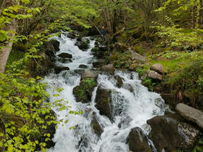 Cascade au cœur d'une forêt du Comminges, une idée de sortie nature en famille autour de Saint-Gaudens.