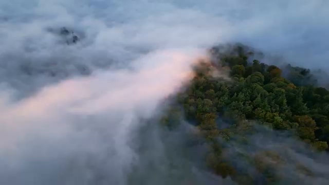 Paysage forestier extrait du documentaire Cultiver la pluie de Marc Khanne
