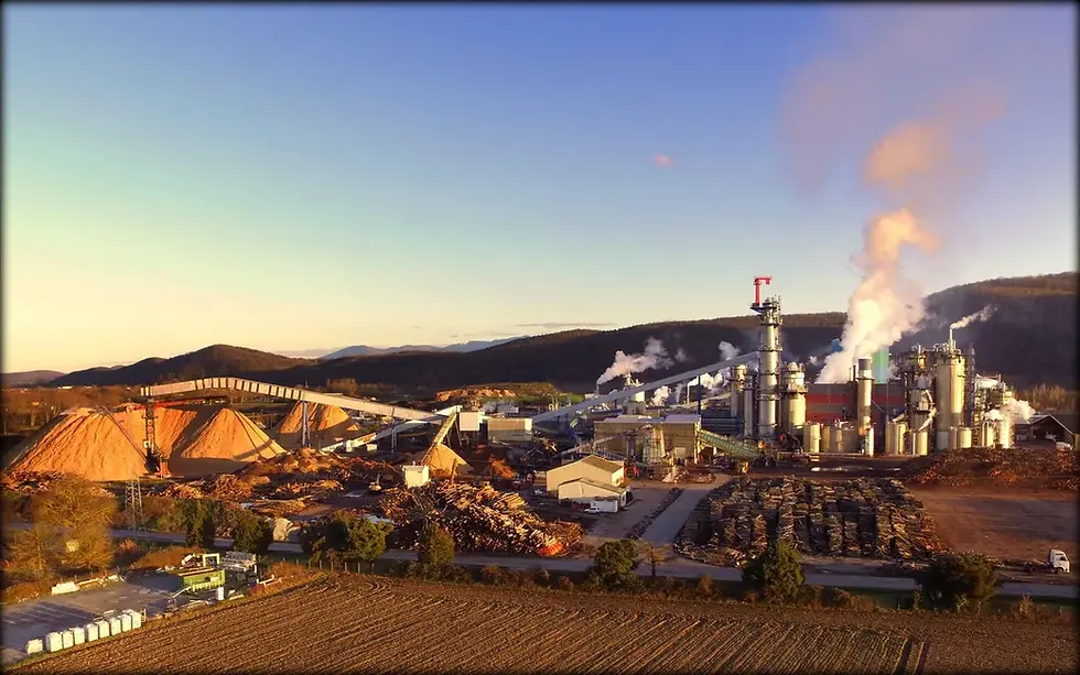 Fibre Excellence : 10 000 emplois menacés